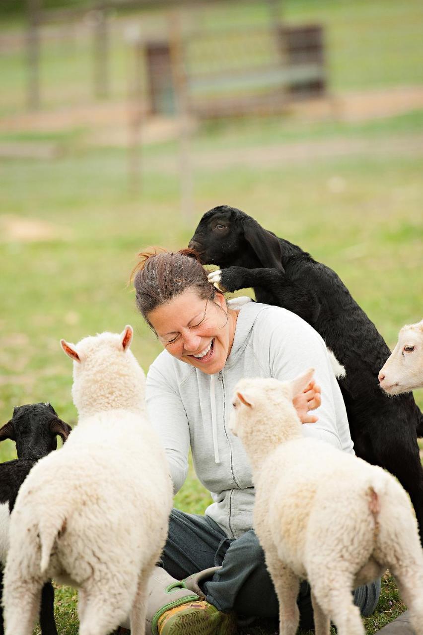 Reves De Moutons Hotel Paso Robles Ngoại thất bức ảnh