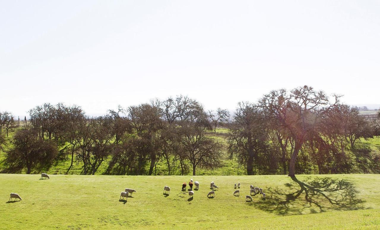 Reves De Moutons Hotel Paso Robles Ngoại thất bức ảnh